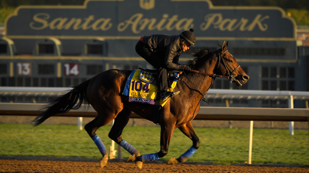 McKinzie is lukewarm favorite in Breeders' Cup Classic